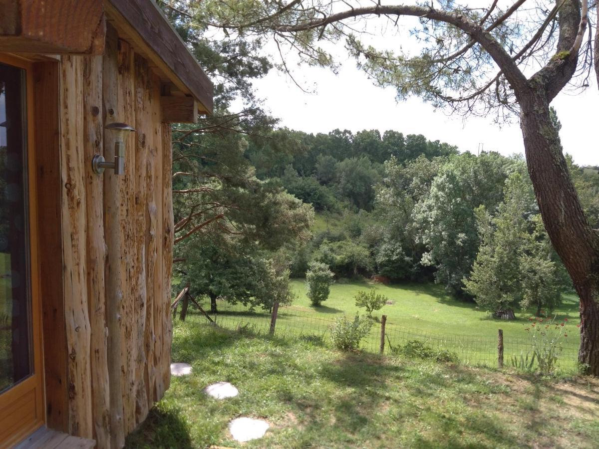 La Cabane En Bois Villemur-sur-Tarn Exterior photo