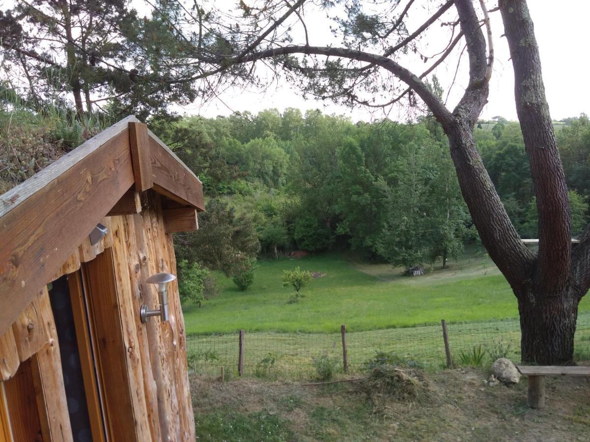 La Cabane En Bois Villemur-sur-Tarn Exterior photo